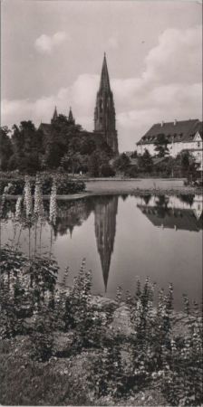 Freiburg - Stadtgarten Freiburg - Stadtgarten