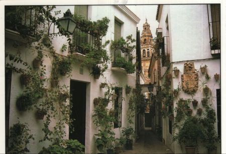 Cordoba - Spanien - Calle de las Flores Cordoba - Spanien - Calle de las Flores