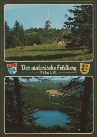 Feldberg / Schwarzwald - 2 Bilder Feldberg / Schwarzwald - 2 Bilder
