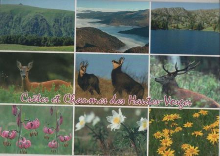 Hohneck - Frankreich - 9 Bilder Hohneck - Frankreich - 9 Bilder