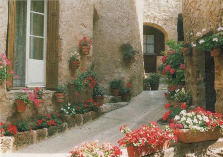 Mittelmeer - Frankreich - Ruelle fleurie Mittelmeer - Frankreich - Ruelle fleurie