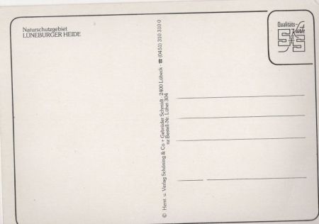 Lüneburger Heide - Pferdeparadies