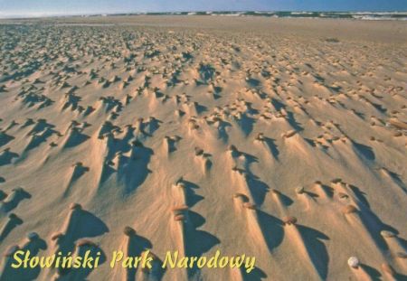 Slowinski Park Narodowy - Polen - Landschaft Slowinski Park Narodowy - Polen - Landschaft