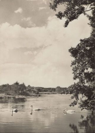 Lehnin - Klostersee Lehnin - Klostersee