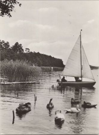 Segelboot See Segelboot See