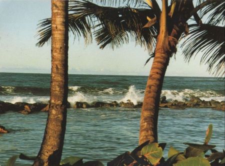 Barbados - Barbados - Brandung Barbados - Barbados - Brandung