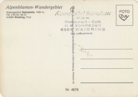 Waidring - Österreich - Alpenblumen-Wanderweg Waidring - Österreich - Alpenblumen-Wanderweg