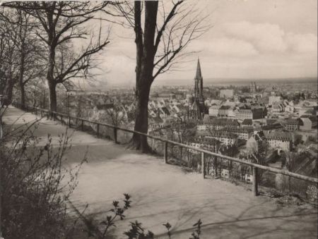 Freiburg - Blick vom Schlossberg Freiburg - Blick vom Schlossberg