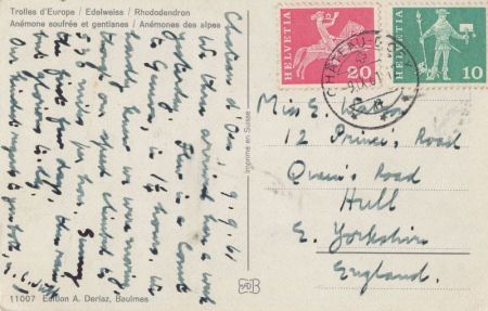 Alpen - Schweiz - Alpenblumen