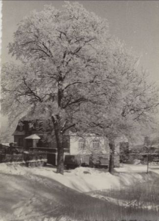 Neudorf (Erzgebirge, OT von Sehmatal) - Hotel Vierenstraße Neudorf (Erzgebirge, OT von Sehmatal) - Hotel Vierenstraße