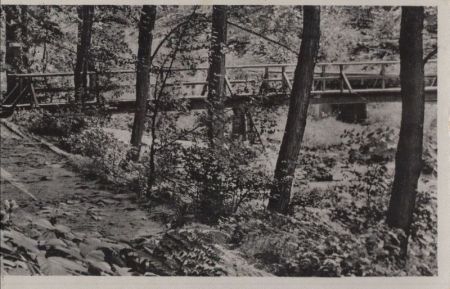 Sächsische Schweiz - Spechtritzgrund - Paul-Wolf-Brücke Sächsische Schweiz - Spechtritzgrund - Paul-Wolf-Brücke