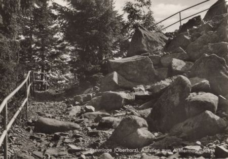 Braunlage - Aufstieg zum Achtermann Braunlage - Aufstieg zum Achtermann