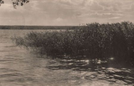 See mit Schilf See mit Schilf