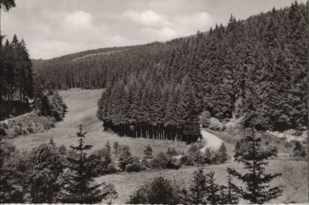 Willingen - Hermeke-Paradies Willingen - Hermeke-Paradies