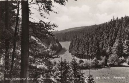 Willingen (Upland) - Paradies Willingen (Upland) - Paradies