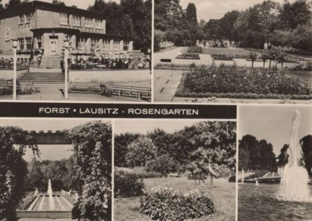 Forst (Lausitz) - Rosengarten