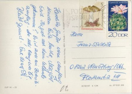 Sächsische Schweiz - mit der Weißen Flotte