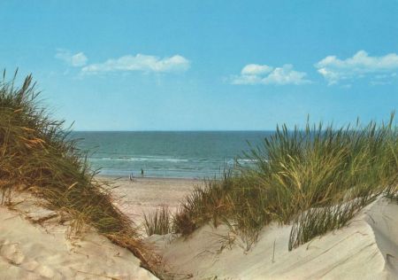Dünen am Meer Dünen am Meer