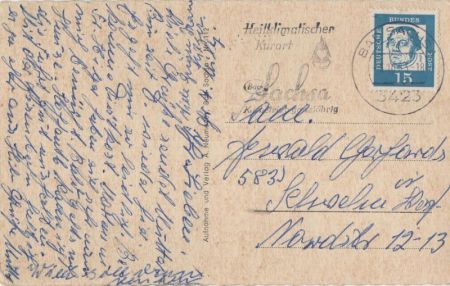 Harz - Kapitalhirsch