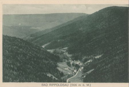 Bad Rippoldsau-Schapbach - von oben Bad Rippoldsau-Schapbach - von oben