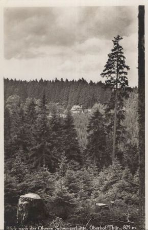 Oberhof - Blick zur oberen Schweizerhütte Oberhof - Blick zur oberen Schweizerhütte