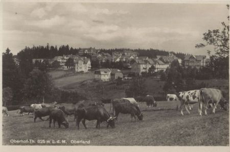Oberhof - Oberland Oberhof - Oberland