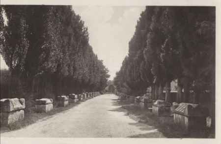 Arles - Frankreich - Les Alyscamps Arles - Frankreich - Les Alyscamps