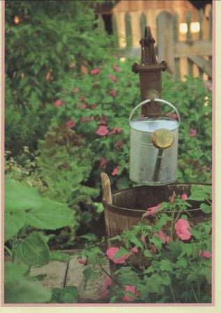 Gießkanne im Garten Gießkanne im Garten