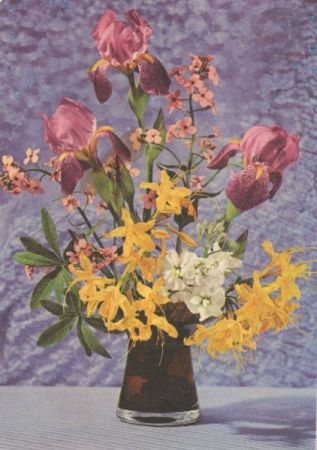 Blumen in Vase Blumen in Vase