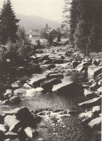 Sumava - Böhmerwald - Tschechien - Antygl Sumava - Böhmerwald - Tschechien - Antygl