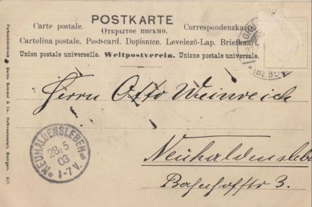 Maikäfer auf Zweig Maikäfer auf Zweig