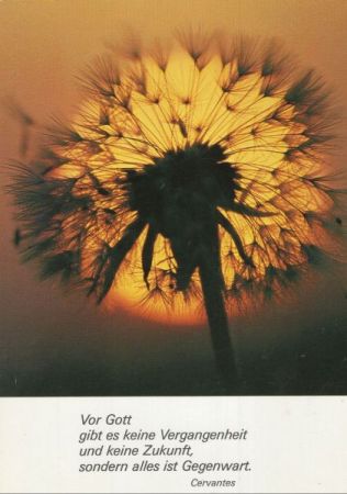Sinnspruch - Vor Gott Sinnspruch - Vor Gott