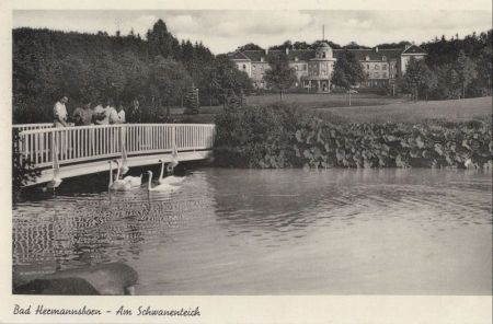 Bad Hermannsborn (OT von Bad Driburg) - Schwanenteich Bad Hermannsborn (OT von Bad Driburg) - Schwanenteich