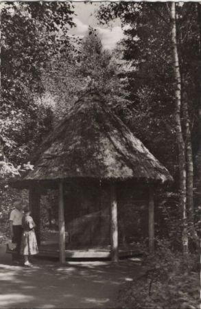Bad Waldliesborn (OT von Lippstadt) - Vogelhaus Bad Waldliesborn (OT von Lippstadt) - Vogelhaus