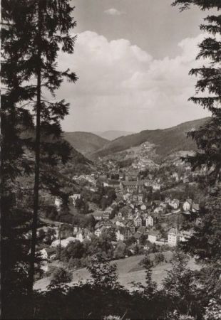 Schramberg - Ansicht Schramberg - Ansicht