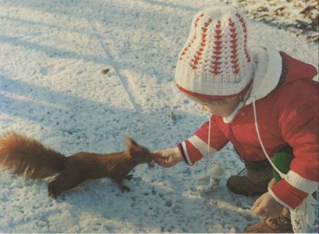 Kind füttert Eichhörnchen Kind füttert Eichhörnchen