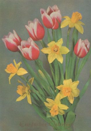 Frohes Osterfest - Blumen Frohes Osterfest - Blumen