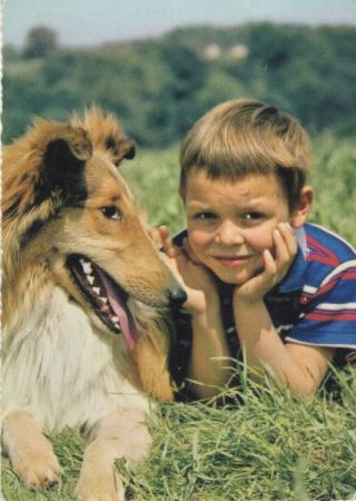 Junge mit Hund Junge mit Hund
