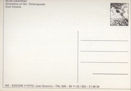 Gran Canaria - Spanien - Almendros en flor. Tenteniguada