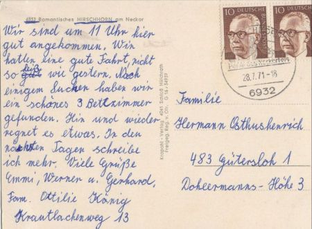 Hirschhorn - von oben Hirschhorn - von oben