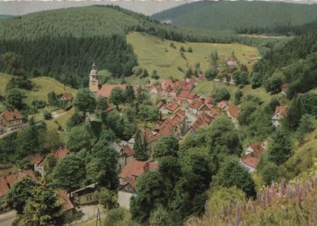 Wildemann - von oben Wildemann - von oben