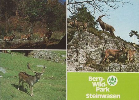 Todtnau - Bergwildpark Steinwiesen Todtnau - Bergwildpark Steinwiesen