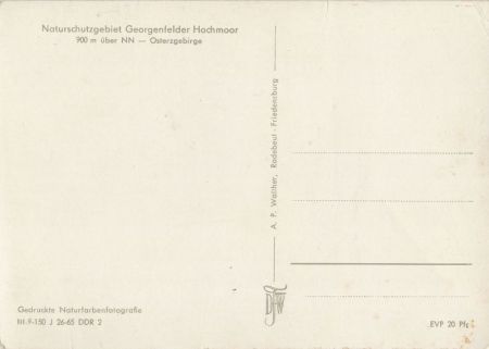 Georgenfelder Hochmoor - Holzsteg