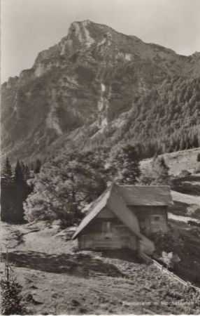 Bad Reichenhall - Steineralm am Hochstaufen Bad Reichenhall - Steineralm am Hochstaufen