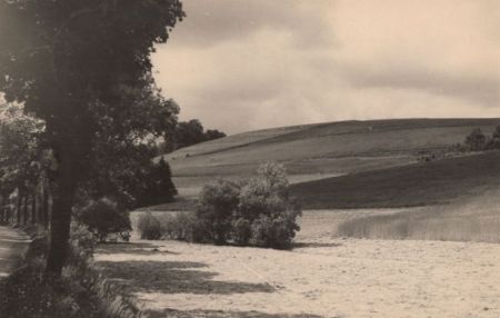 Klingenberg-Röthenbach - Landschaft Klingenberg-Röthenbach - Landschaft