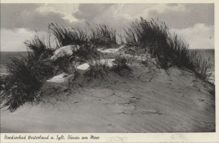 Westerland - Dünen am Meer Westerland - Dünen am Meer