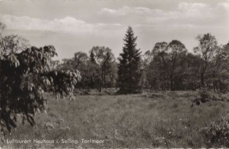 Holzminden-Neuhaus - Torfmoor Holzminden-Neuhaus - Torfmoor