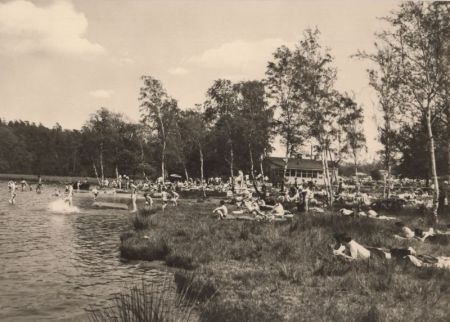 Dahlen-Ochsensaal - Freibad Dammühlenteich Dahlen-Ochsensaal - Freibad Dammühlenteich