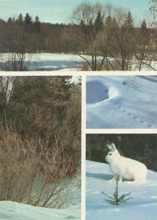 Landschaft Winter Landschaft Winter