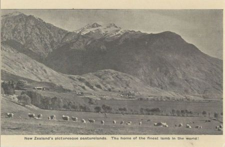 Neuseeland - Neuseeland - picturesquq pasturelands Neuseeland - Neuseeland - picturesquq pasturelands